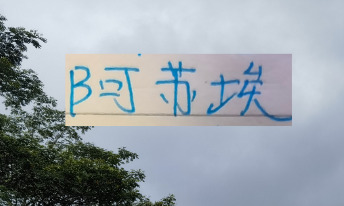 开云体育高赔率-海港也走捡漏路线了 22岁多哥外援会比24岁申花前锋高级吗