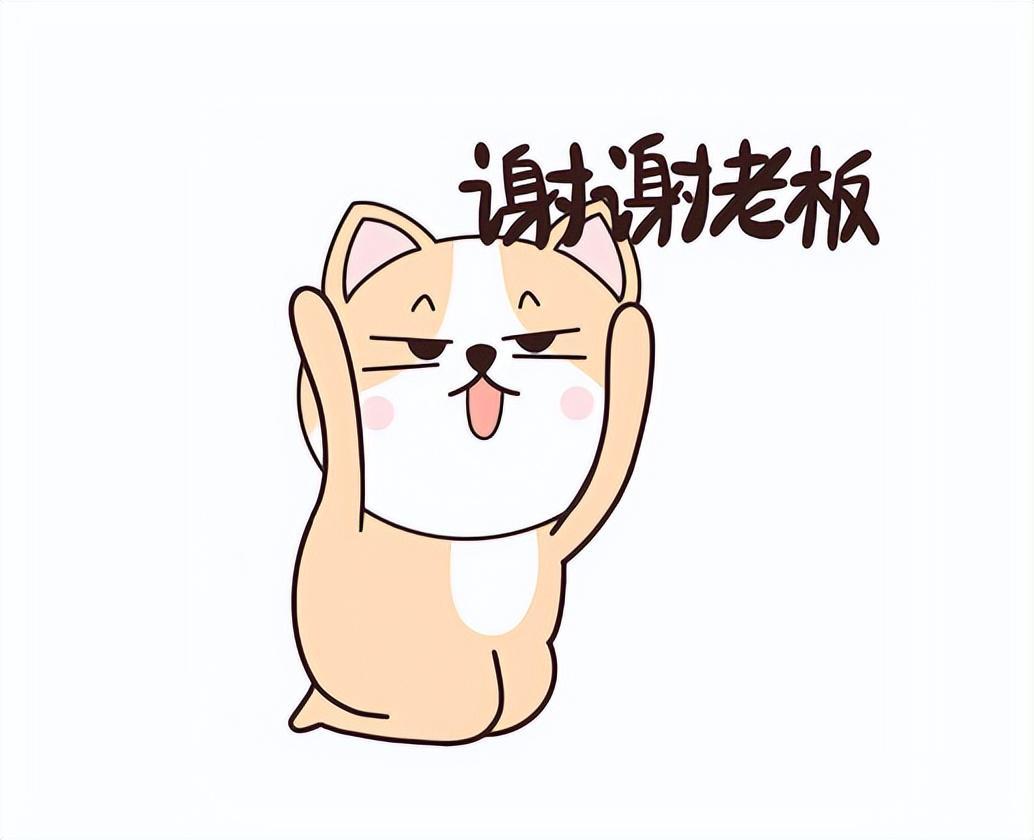 为何生涯仅1冠1MVP的诺维斯基能够得到世人如此巨大的尊重?